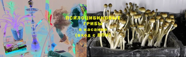 прущий лед Абаза