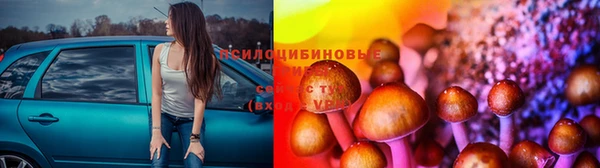 тгк Абдулино