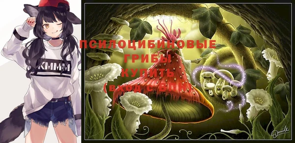 прущий лед Абаза
