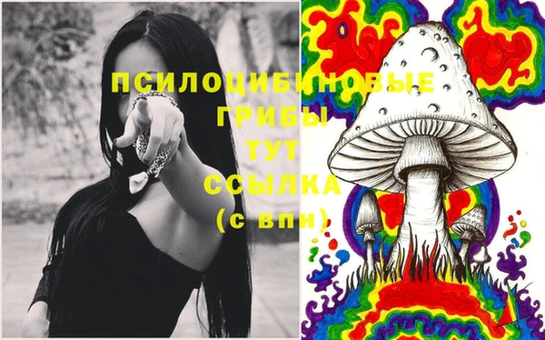 тгк Абдулино