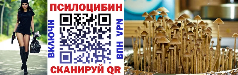 Галлюциногенные грибы прущие грибы  blacksprut   Кандалакша 