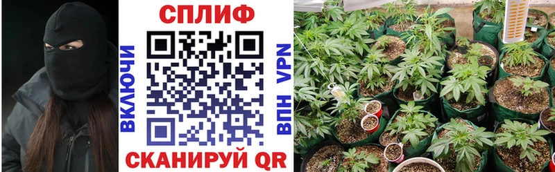 Бошки марихуана планчик Кандалакша